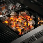 Picture for category Charcoal Grills